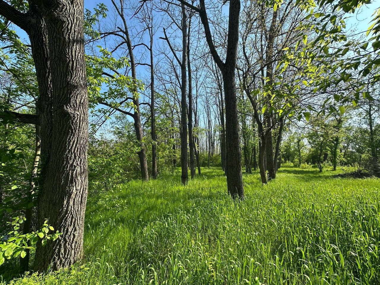 Продается земельный участок 18 сот. в поселке на берегу реки Кубань. Где главная особенность поселка - это природа, близость реки, чистый воздух, краснодарский лесопарк. Отличное место для постройки дома. Посёлок активно застраивается новыми домами и коттеджами. Удобные подъездные пути. Своя артезиа